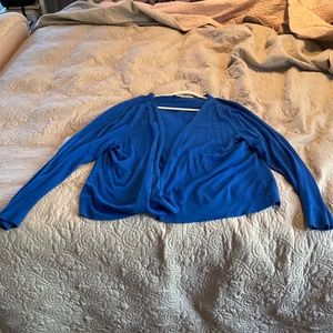 Blue sweater